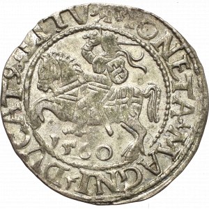 Sigismund II Augustus, Halfgroat 1560, Vilnius - LI/LITV