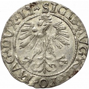 Sigismund II Augustus, Halfgroat 1560, Vilnius - LI/LITV
