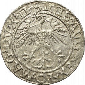 Zygmunt II August, Półgrosz 1562, Wilno - LI/LITVA
