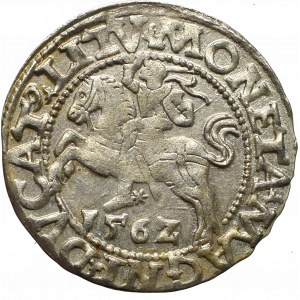 Sigismund II Augustus, Halfgroat 1562, Vilnius