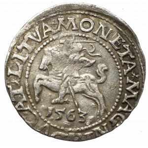 Sigismund II Augustus, Halfgroat 1563, Vilnius - L/LITV