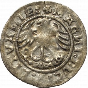 Sigismund I the Old, Halfgroat 1519, Vilnius