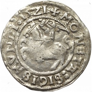 Sigismund I the Old, Halfgroat 1521, Vilnius