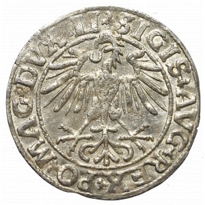 Sigismund II Augustus, Halfgroat 1550, Vilnius