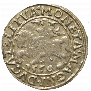 Sigismund II Augustus, Halfgroat 1556, Vilnius