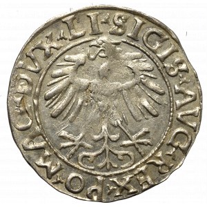Sigismund II Augustus, Halfgroat 1556, Vilnius