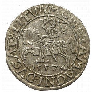 Sigismund II Augustus, Half-groat 1557, Vilnius - LI/LITVA