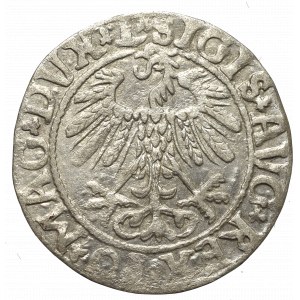 Zygmunt II August, Półgrosz 1558 Wilno - L/LITVA