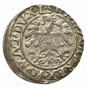 Sigismund II Augustus, Halfgroat 1559, Vilnius