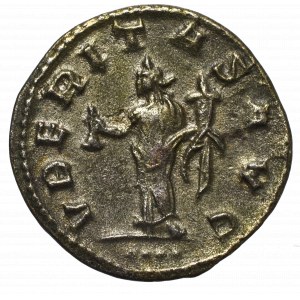 Cesarstwo Rzymskie, Trebonian Gallus, Antoninian - VBERITAS AVG