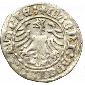 Sigismund I the Old, Halfgroat 1510, Vilnius