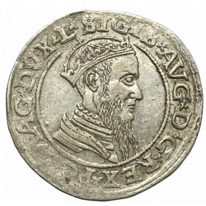 Zygmunt II August, Czworak 1565, Wilno L/LITV - MENNICZY