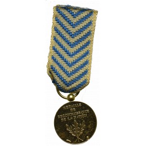 France, Miniature of the medal of the Nation`s Gratitude