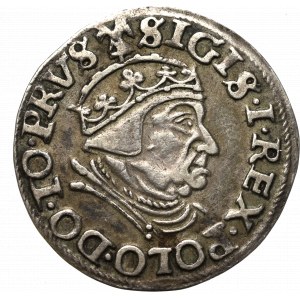 Zygmunt I Stary, Trojak 1539, Gdańsk