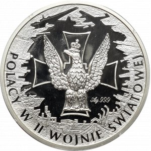 Polacy w II Wojnie Światowej - srebro