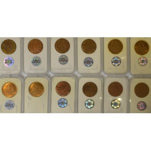 Zestaw numizmatów w slabach (12 egzemplarzy)