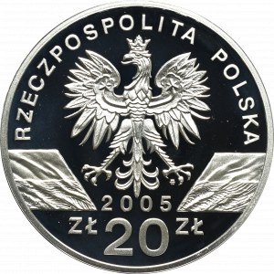 III RP, 20 złotych 2005 - Puchacz