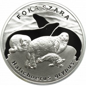 III RP, 20 złotych 2007 - Foka Szara