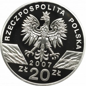 III RP, 20 złotych 2007 - Foka Szara