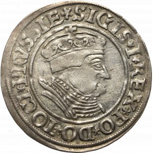 Sigismund I the Old, Groschen for Prussia 1535, Thorn