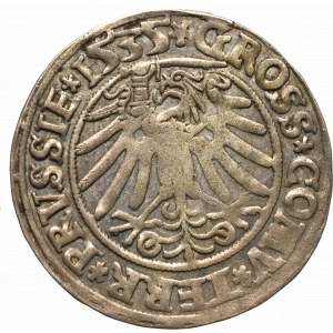 Sigismund I the Old, Groschen for Prussia 1535, Thorn