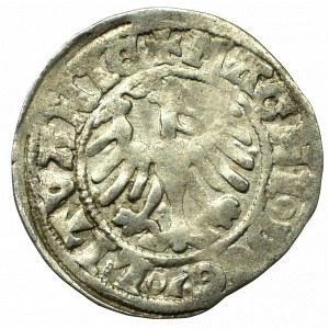 Alexander Jagellon, Halfgroat without date, Vilnius