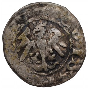 Vladislaus II Jagello, Halfgroat without date, Cracow