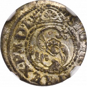 Sigismund III, Solidus 1620, Riga - NGC MS61