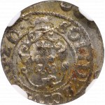 Sigismund III, Solidus 1620, Riga - NGC MS61