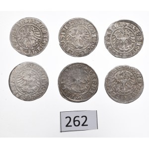 Sigismund I, Lot of halfgroats 1509-12, Vilnius