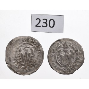 Casimir IV Jagellon, Lot of schillings Danzig