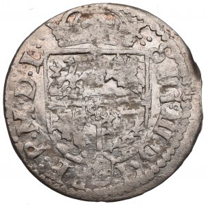 Sigismund III, 1/24 thaler 1619, Vilnius