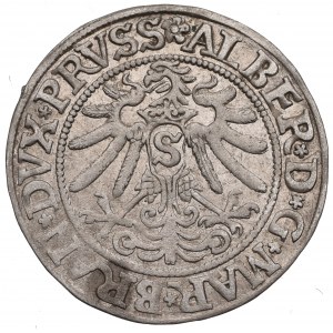 Prusy Książęce, Albrecht Hohenzollern, Grosz 1533, Królewiec