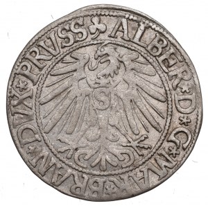 Germany, Preussen, Albrecht Hohenzollern, Groschen 1543, Konigsberg