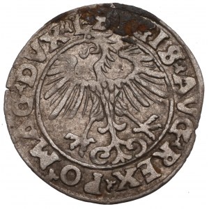 Zygmunt II August, Półgrosz 1553, Wilno - rzadkość L/LITVA