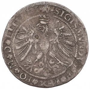 Zygmunt I Stary, Grosz 1535, Wilno - LITVANI/LITVA