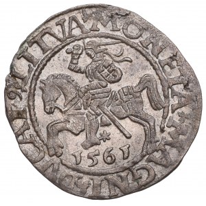 Sigismund II Augustus, Halfgroat 1565, Vilnius