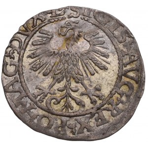 Sigismund II Augustus, Halfgroat 1565, Vilnius