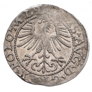 Zygmunt II August, Półgrosz 1564, Wilno - L/LITV