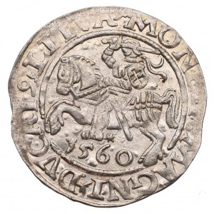 Sigismund II Augustus, Halfgroat 1560, Vilnius - LI/LITVA