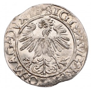 Zygmunt II August, Półgrosz 1560, Wilno - LI/LITVA
