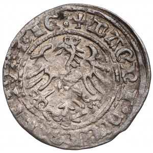 Sigismund I the Old, Halfgroat 1515, Vilnius