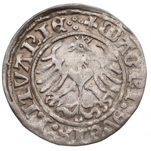 Sigismund I the Old, Halfgroat 1513, Vilnius