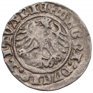 Zygmunt I Stary, Półgrosz 1512, Wilno - 12/LITVANIE