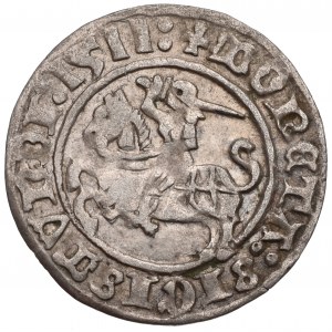 Zygmunt I Stary, Półgrosz 1511, Wilno - 1511:/LITVANIE: