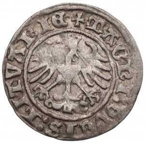 Zygmunt I Stary, Półgrosz 1511, Wilno - 1511/LITVANIE•
