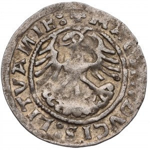 Sigismund I the Old, Halfgroat 1519, Vilnius