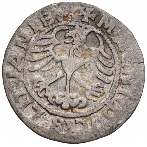 Sigismund I the Old, Halfgroat 1519, Vilnius