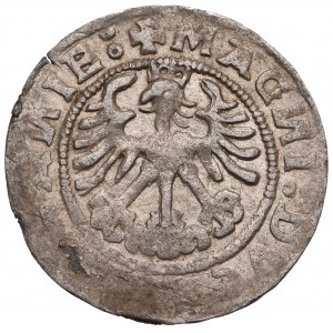 Sigismund I the Old, Halfgroat 151(?), Vilnius