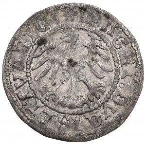 Sigismund I the Old, Halfgroat 1519, Vilnius